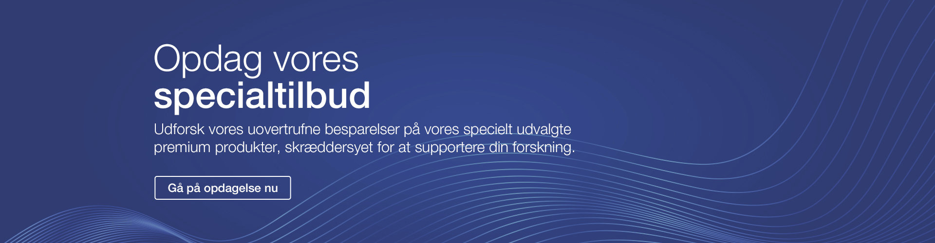 Discover Our Special Offers, Discover Now