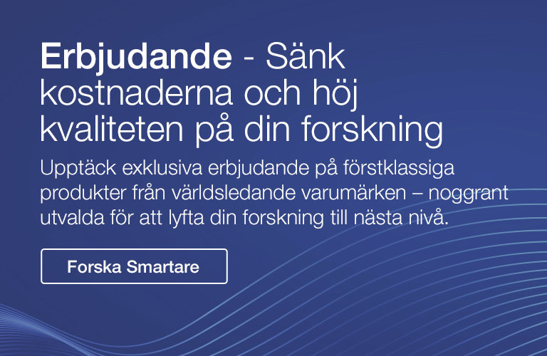 Discover Our Special Offers, Discover Now