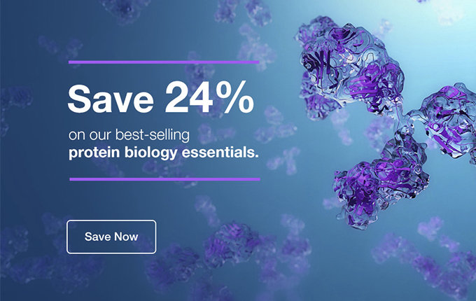 Protein Biology Essentials