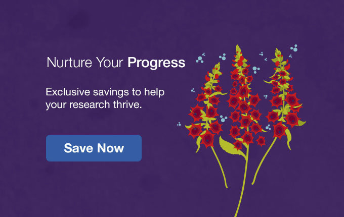 Nurture Your Progress