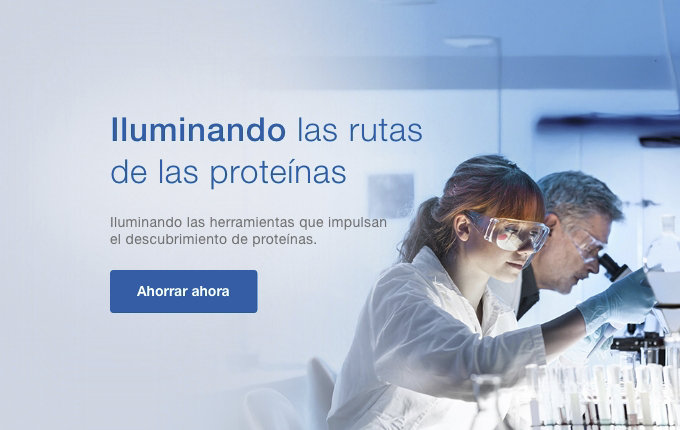 Iluminando las rutas de las proteínas