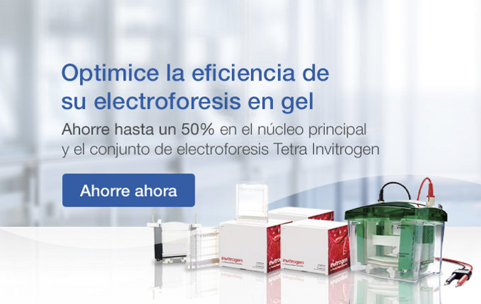 Electroforesis en gel