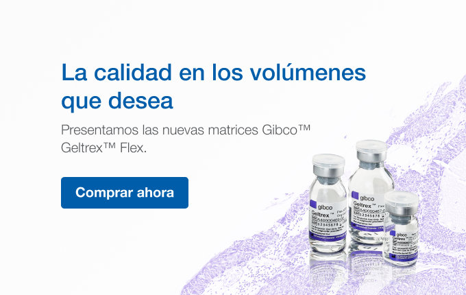 Presentamos las nuevas matrices Gibco Geltrex Flex.