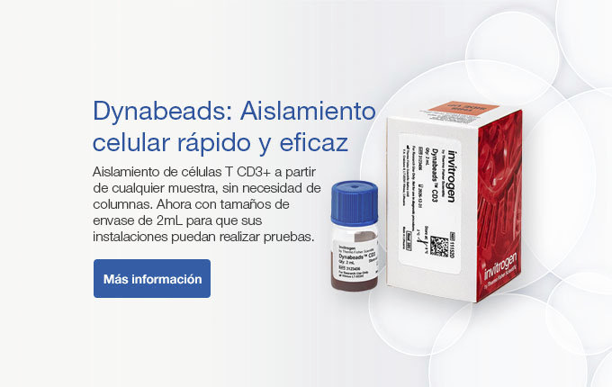 Dynabeads: Aislamiento  celular rápido y eficaz