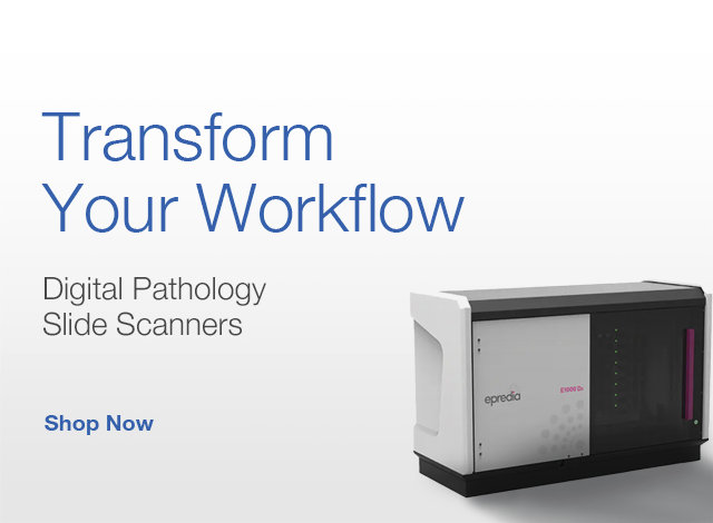 Transform Your Workflow