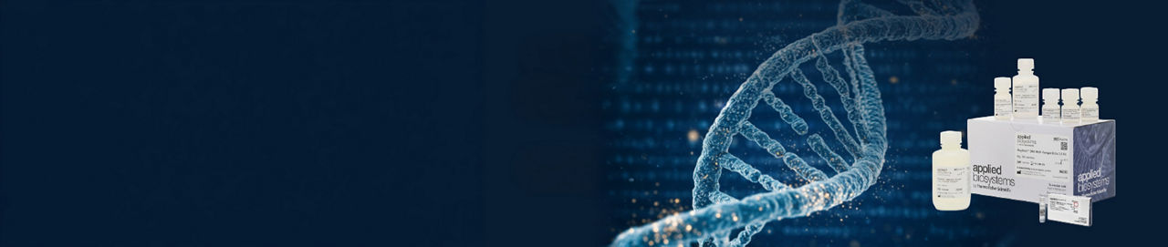 Isolation to innovation