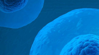  Cell culture handbook