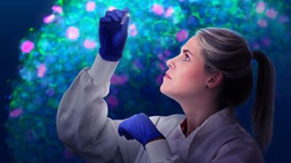 3D cell culture handbook