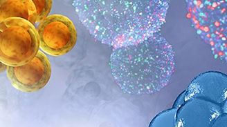  3D cell culture eBook