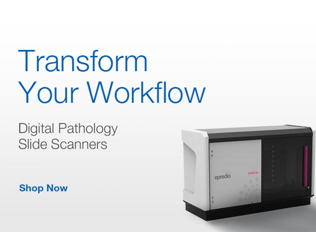 Transform Your Workflow